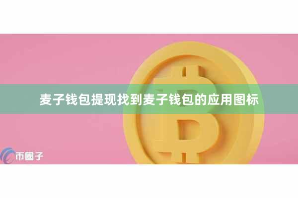 麦子钱包提现找到麦子钱包的应用图标