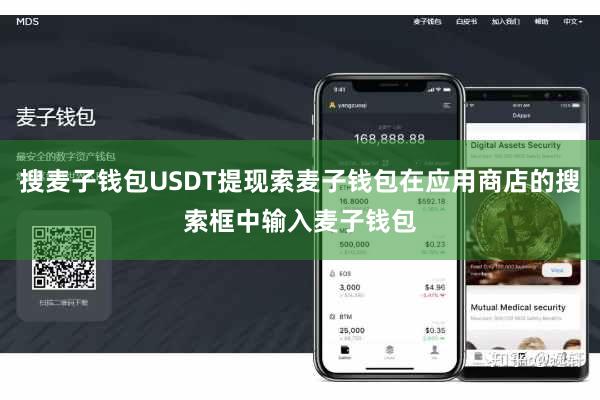搜麦子钱包USDT提现索麦子钱包在应用商店的搜索框中输入麦子钱包
