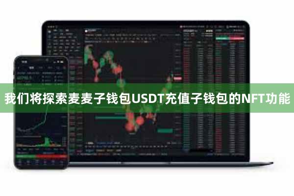 我们将探索麦麦子钱包USDT充值子钱包的NFT功能