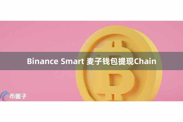 Binance Smart 麦子钱包提现Chain