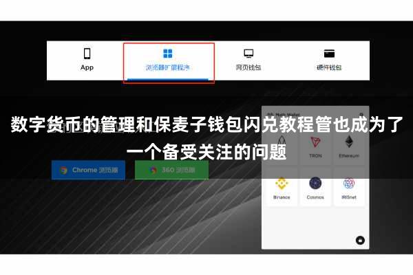 数字货币的管理和保麦子钱包闪兑教程管也成为了一个备受关注的问题