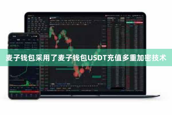 麦子钱包采用了麦子钱包USDT充值多重加密技术