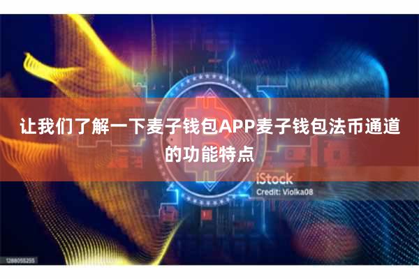 让我们了解一下麦子钱包APP麦子钱包法币通道的功能特点