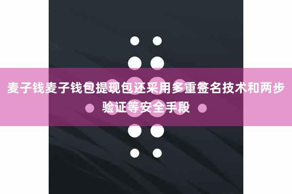 麦子钱麦子钱包提现包还采用多重签名技术和两步验证等安全手段