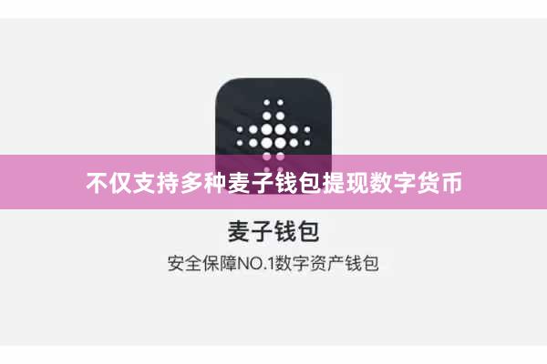 不仅支持多种麦子钱包提现数字货币