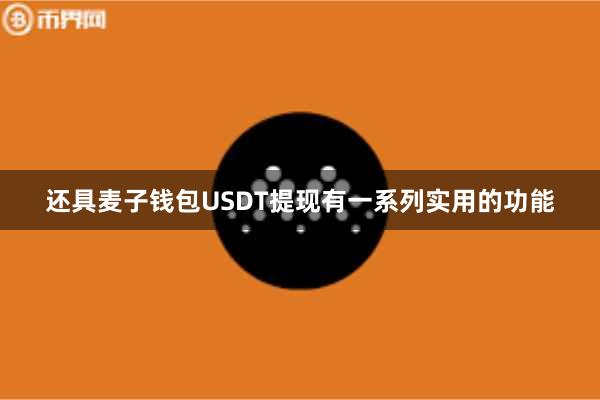 还具麦子钱包USDT提现有一系列实用的功能