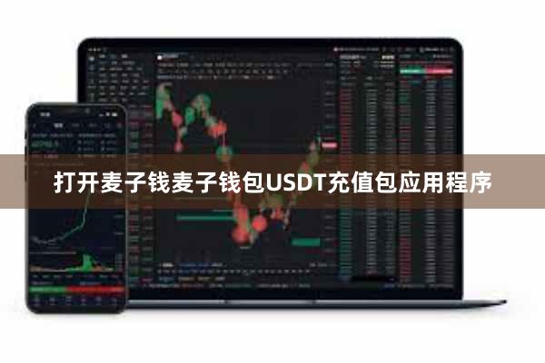 打开麦子钱麦子钱包USDT充值包应用程序