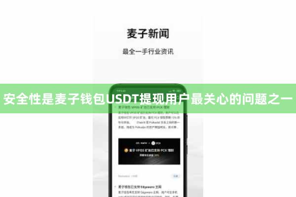 安全性是麦子钱包USDT提现用户最关心的问题之一