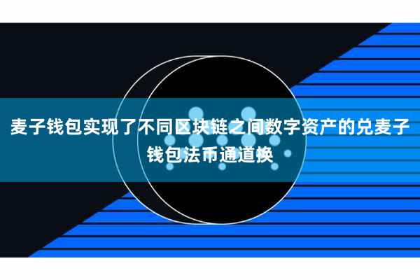 麦子钱包实现了不同区块链之间数字资产的兑麦子钱包法币通道换