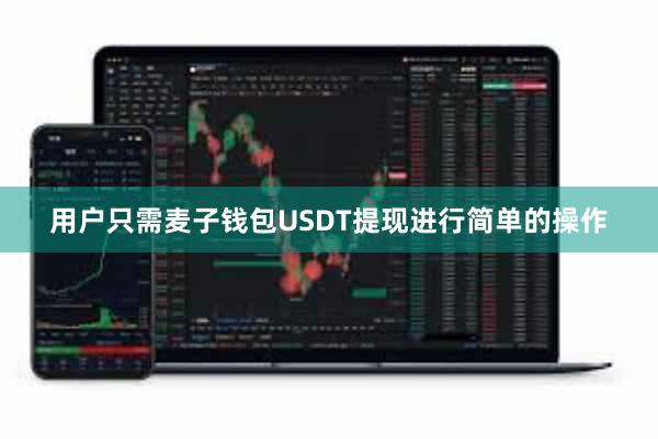用户只需麦子钱包USDT提现进行简单的操作