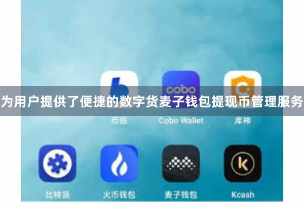 为用户提供了便捷的数字货麦子钱包提现币管理服务
