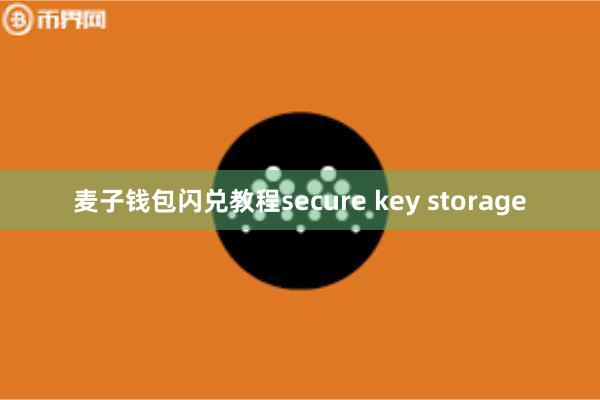 麦子钱包闪兑教程secure key storage