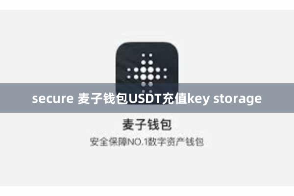 secure 麦子钱包USDT充值key storage