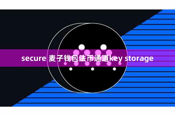 secure 麦子钱包法币通道key storage