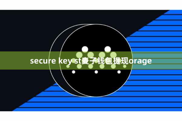 secure key st麦子钱包提现orage