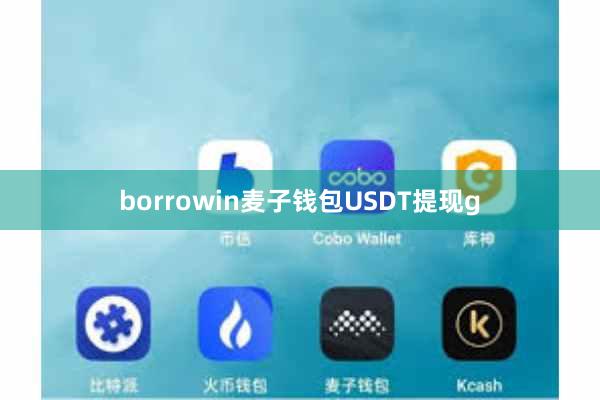 borrowin麦子钱包USDT提现g
