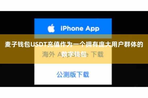 麦子钱包USDT充值作为一个拥有庞大用户群体的数字钱包