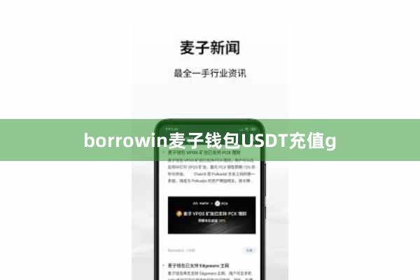 borrowin麦子钱包USDT充值g