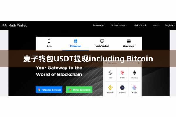 麦子钱包USDT提现including Bitcoin