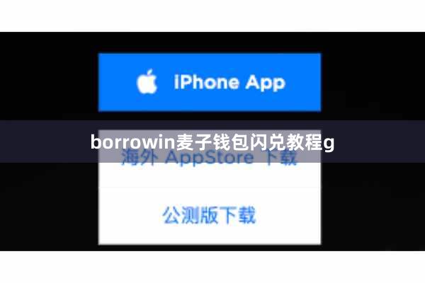 borrowin麦子钱包闪兑教程g