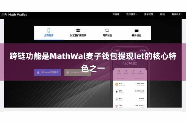 跨链功能是MathWal麦子钱包提现let的核心特色之一