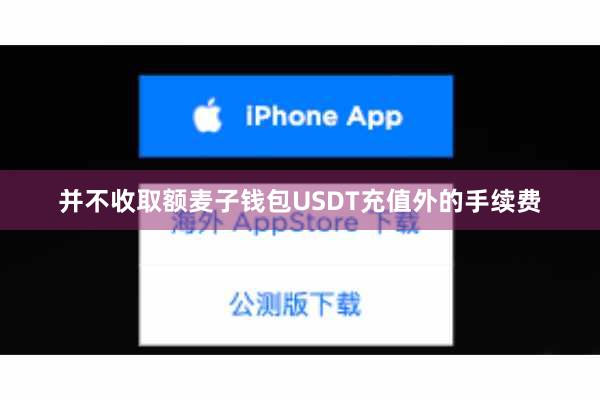 并不收取额麦子钱包USDT充值外的手续费