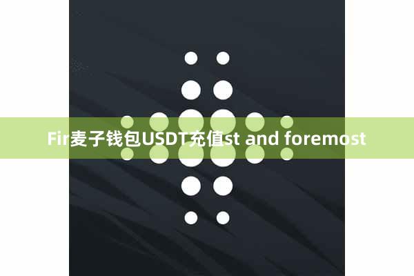 Fir麦子钱包USDT充值st and foremost