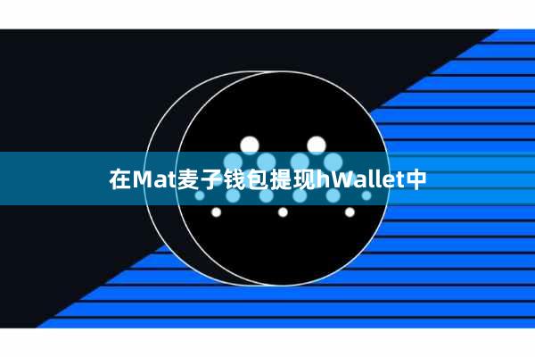 在Mat麦子钱包提现hWallet中