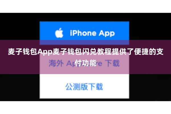 麦子钱包App麦子钱包闪兑教程提供了便捷的支付功能