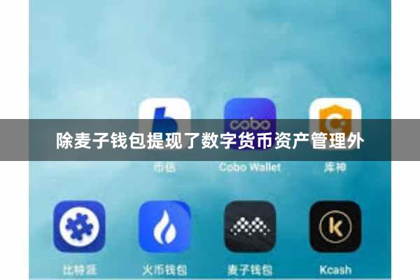 除麦子钱包提现了数字货币资产管理外