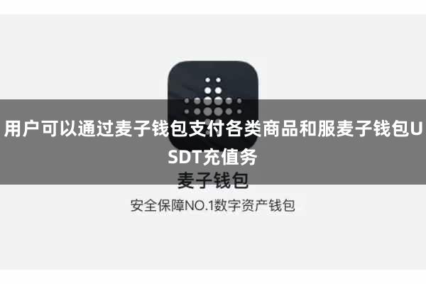 用户可以通过麦子钱包支付各类商品和服麦子钱包USDT充值务