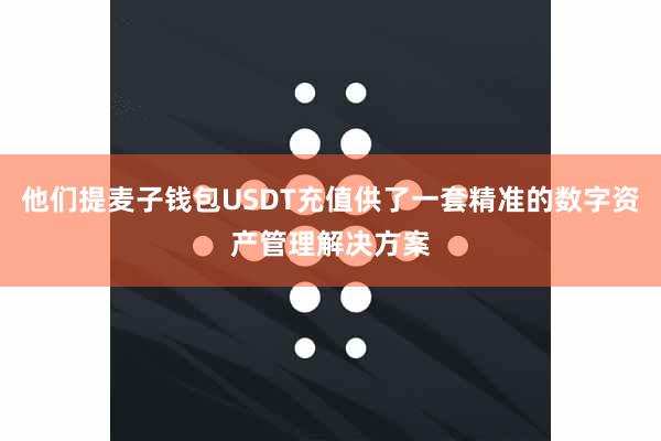 他们提麦子钱包USDT充值供了一套精准的数字资产管理解决方案